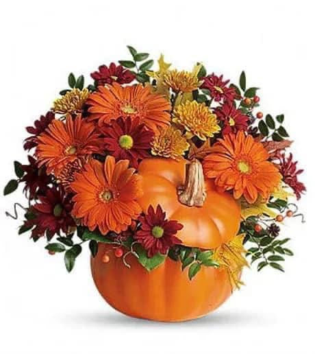 Ceramic Pumpkin Craft Night