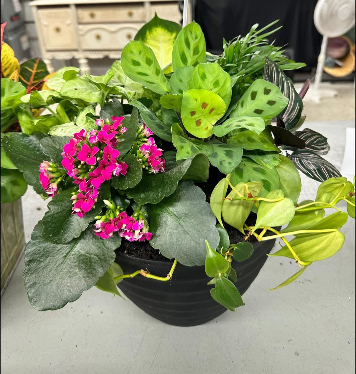 Large Blooming Garden