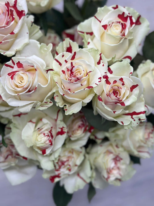 1 dozen Blood Mary roses