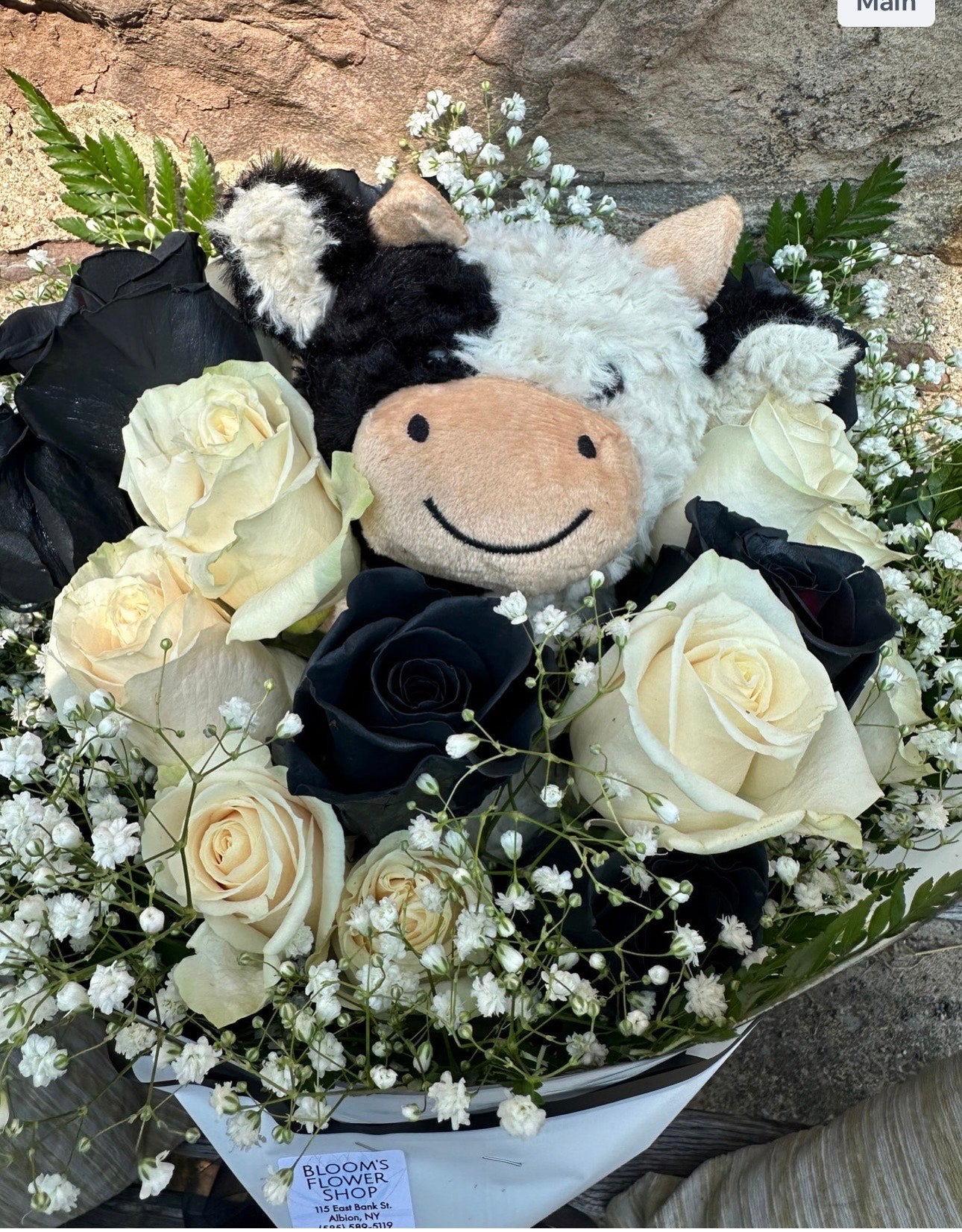 Plushie wrap cow