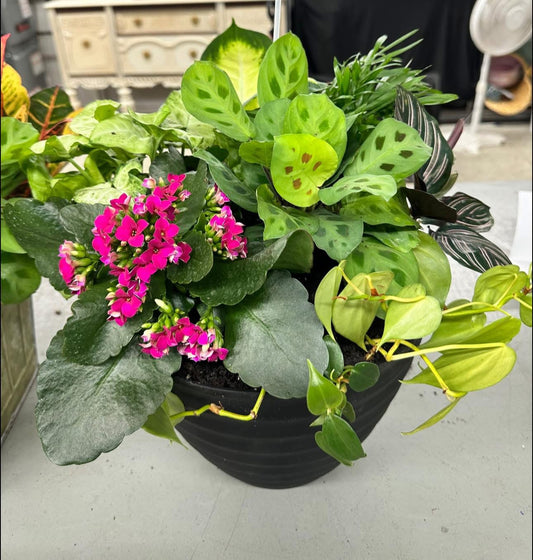 Large Blooming Garden