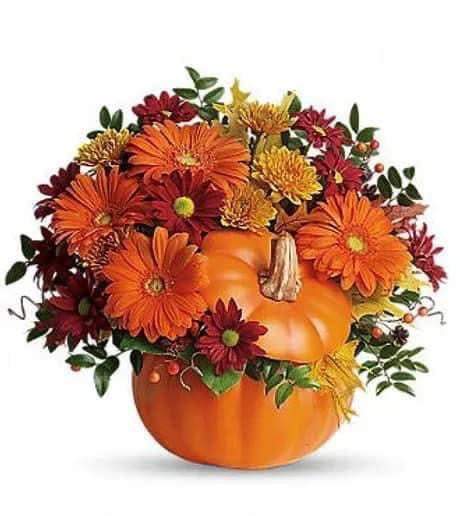 Ceramic Pumpkin Craft Night 11/16/26