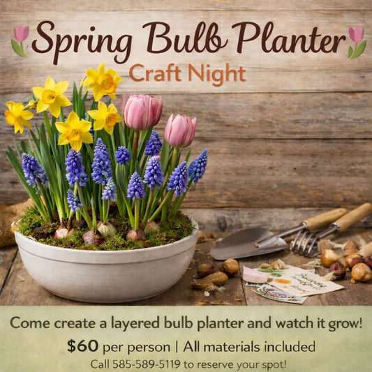 Spring Bulb Planter Craft Night 4/20/26