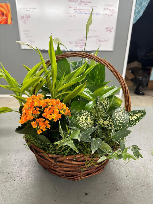 Blooming Garden